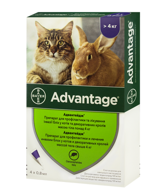 Bayer Advantage Адвантейдж 80 для кошек свыше 4 кг, 1 пипетка