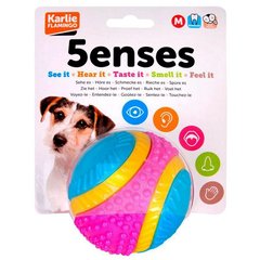 Karlie-Flamingo 5 Senses Ball КАРЛИ-ФЛАМИНГО мяч 5 чувств игрушка для собак, резина, 8 см