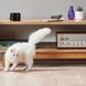 Интерактивная игрушка для животных Petcube Interactive Wi-Fi Pet Camera  (+ мышка в подарок)